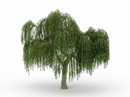 Large weeping willow tree 3d model preview