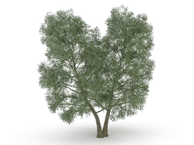 Twin tree 3d rendering