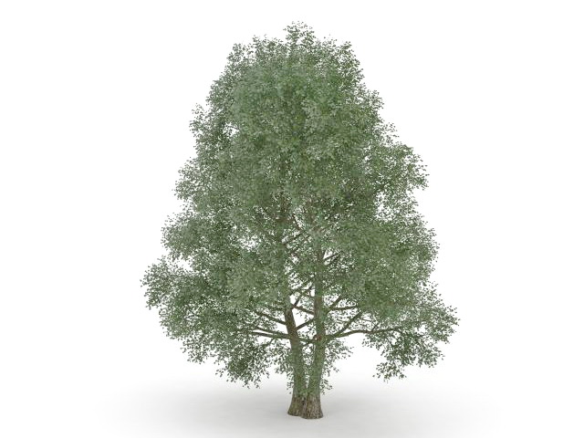 Twin tree 3d rendering