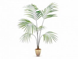 Kentia palm tree in pot 3d model preview