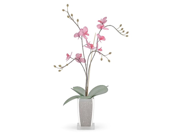 Pink flower in pot 3d rendering