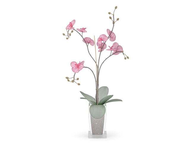 Pink flower in pot 3d rendering