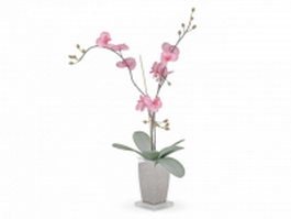 Pink flower in pot 3d preview