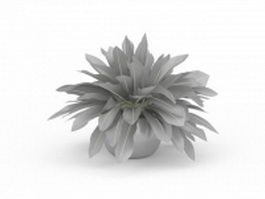 Pot plant 3d preview