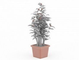 Fruit tree in pot 3d preview
