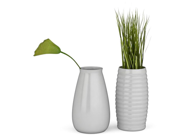 Plants in white vase 3d rendering