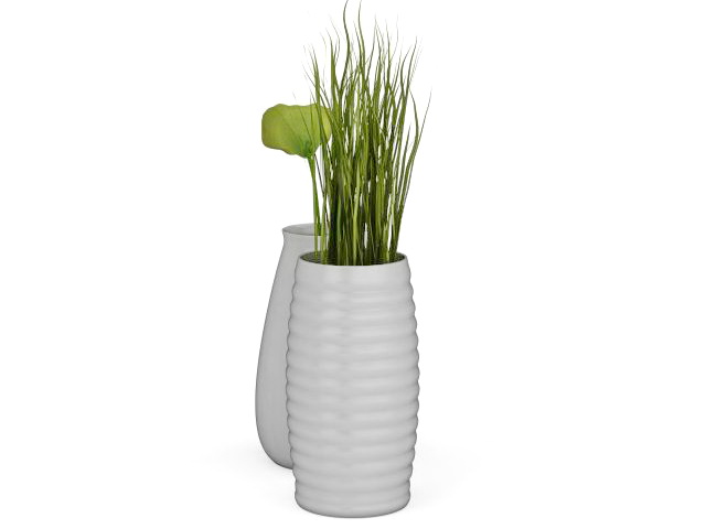 Plants in white vase 3d rendering