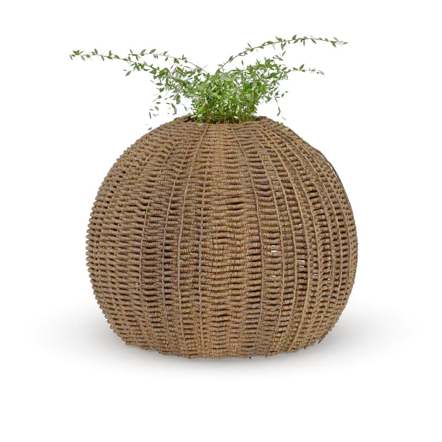 Rattan pot planter 3d rendering