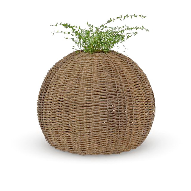 Rattan pot planter 3d rendering