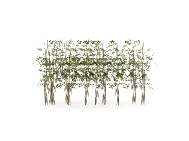 Bamboo forest 3d rendering