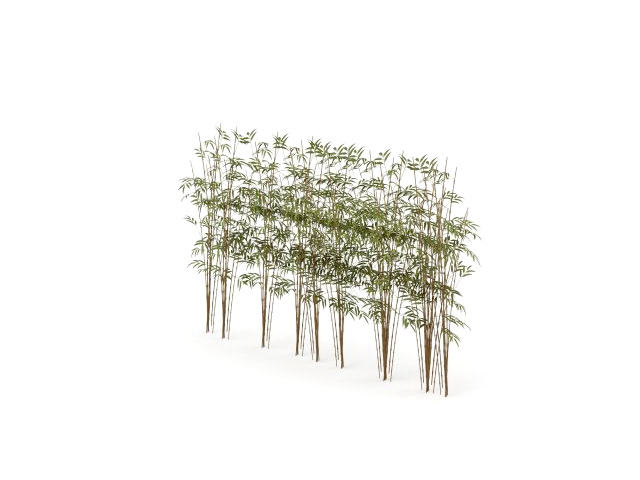 Bamboo forest 3d rendering