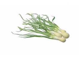 Spring onions 3d model preview