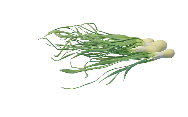 Spring onions 3d rendering