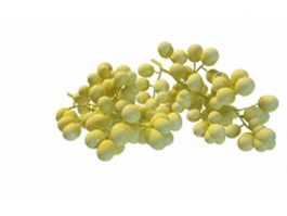 Green grapes 3d preview