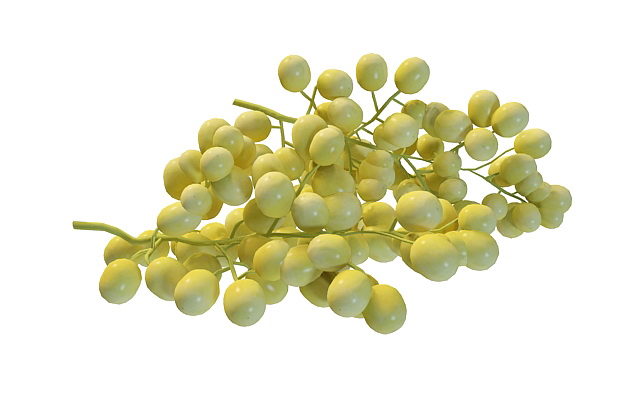 Green grapes 3d rendering