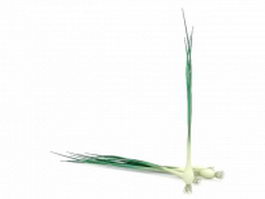Green onions scallions 3d model preview