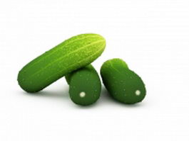 Green cucumbers 3d model preview