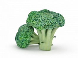 Broccoli vegetable 3d model preview