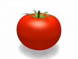 Organic tomato 3d model preview