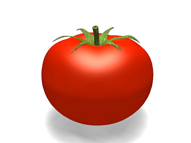Organic tomato 3d rendering