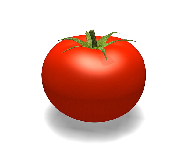 Organic tomato 3d rendering