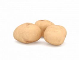 Fresh potatoes 3d model preview