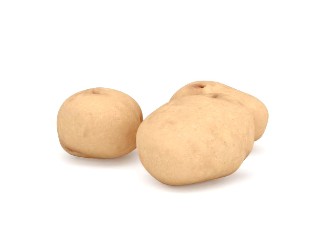 Fresh potatoes 3d rendering
