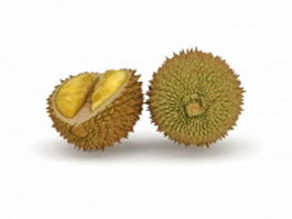 Durian fruit and open durian 3d model preview