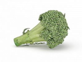 Calabrese broccoli 3d model preview