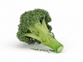 Green broccoli vegetable 3d preview
