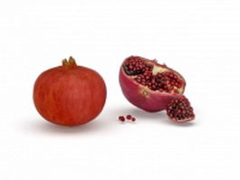 Fruit of Punica granatum split 3d model preview