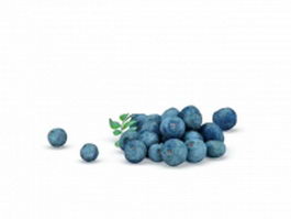 Ripe blueberry fruit 3d model preview