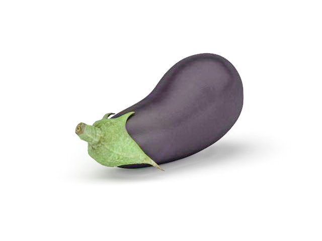 Aubergine eggplant 3d rendering