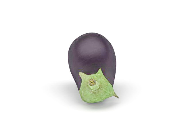 Aubergine eggplant 3d rendering