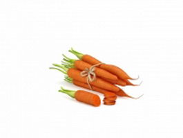 Carrot vegetable 3d preview