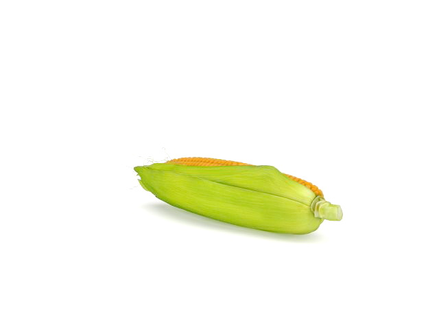 Fresh corn on cob 3d rendering