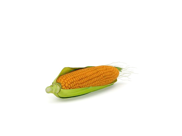 Fresh corn on cob 3d rendering