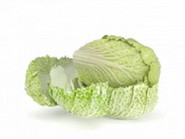 Napa cabbage 3d model preview