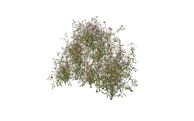 Butterfly pink flower plant 3d rendering