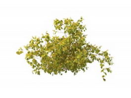 Wild plant with yellow berries 3d model preview