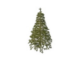 Spruce pine tree 3d model preview