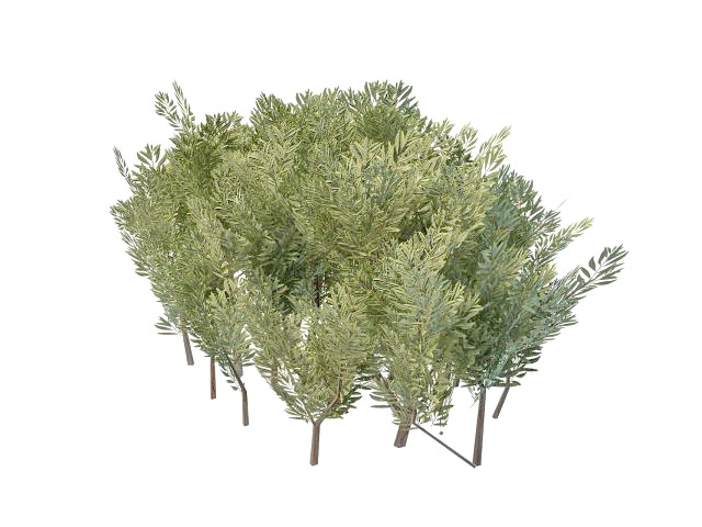 Landscaping bushes plants 3d rendering