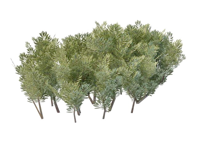 Landscaping bushes plants 3d rendering