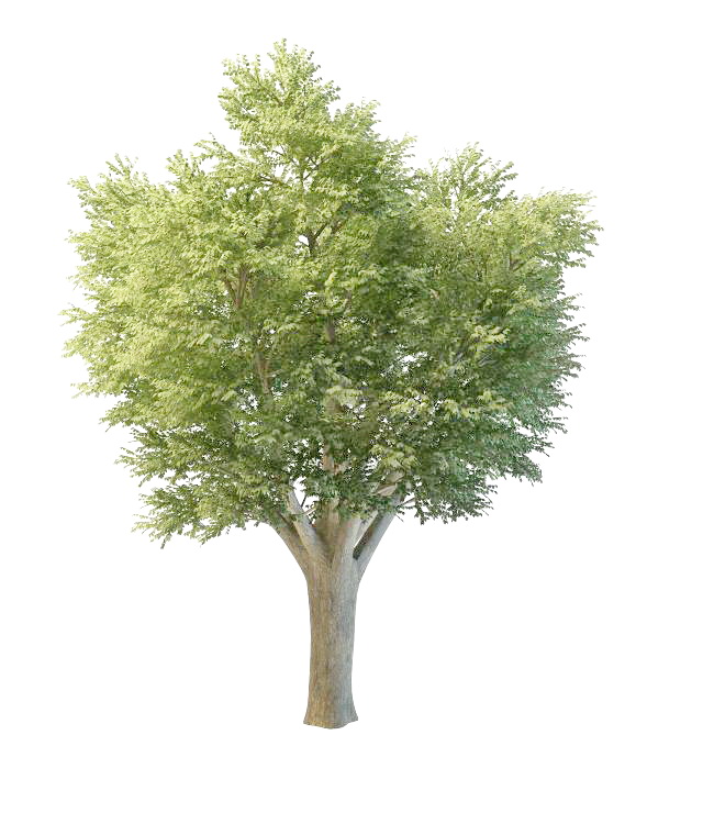 Big oak tree 3d rendering