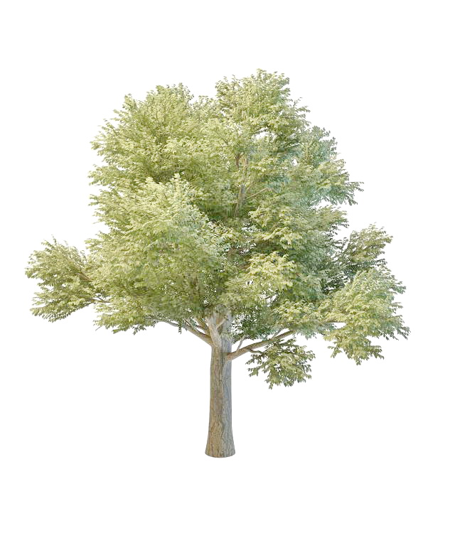 vray tree library 3ds max free download