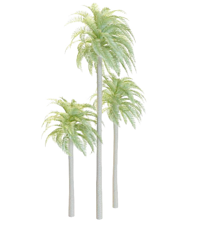 Wild date palm 3d rendering