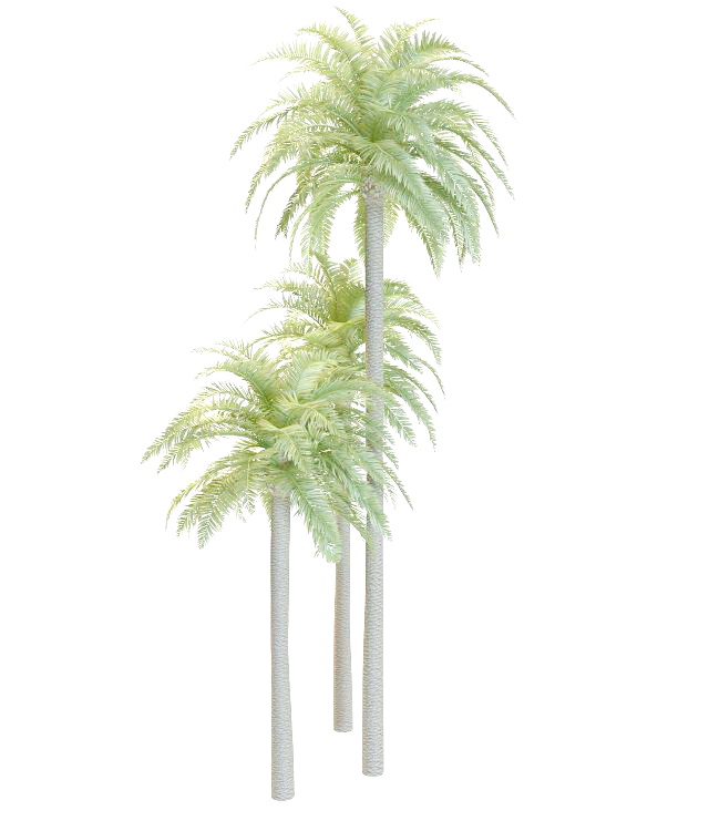 Wild date palm 3d rendering