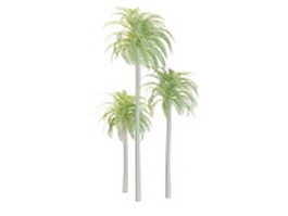 Wild date palm 3d model preview