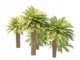 Ornamental windmill palms 3d model preview