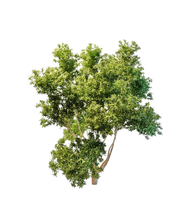 Many branched tree 3d rendering